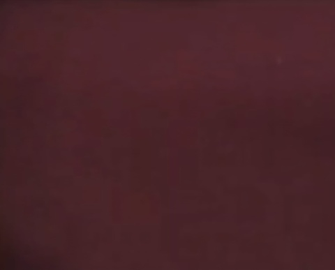 Shadow Muse Polewear &