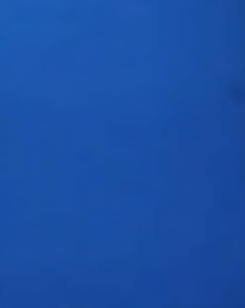 Shadow Muse Polewear &